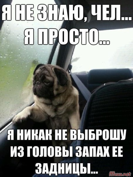 Отряд быстрого деградирования