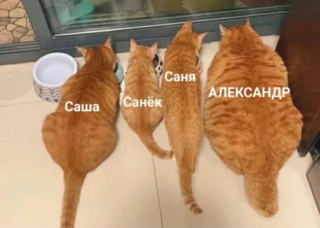 Так себе картинки 18.07.24