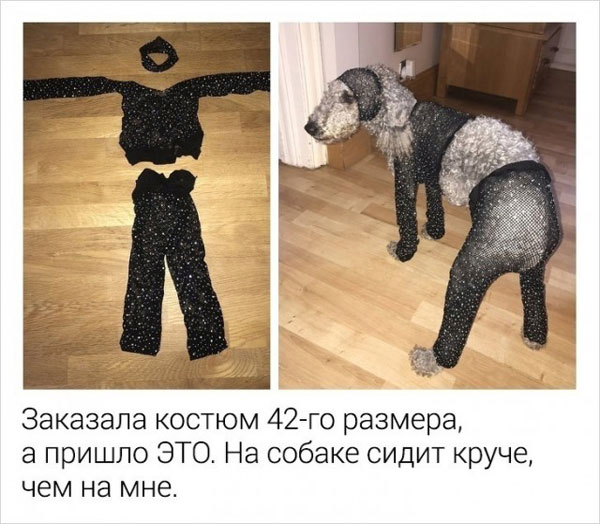 Суббото-баяно-лар