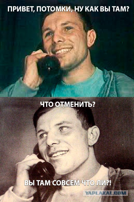 В РПЦ поддержали идею исключить теорию Дарвина из школьной программы
