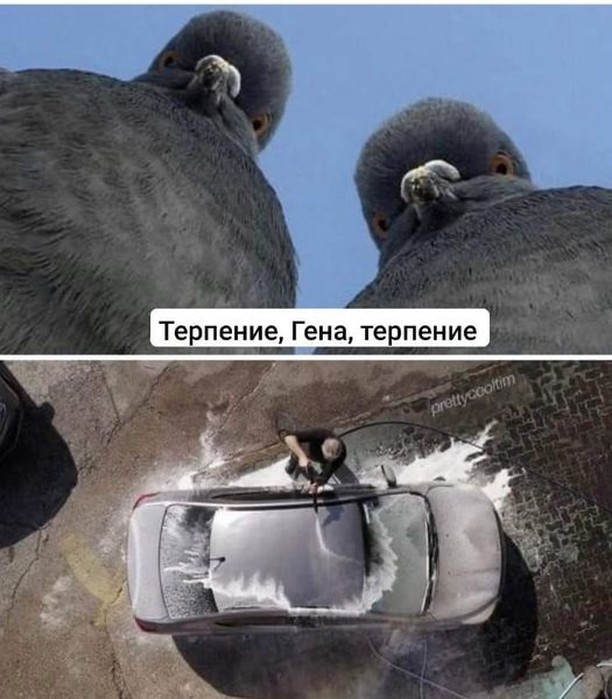 Завалялось тут случайно немного забавных картинок