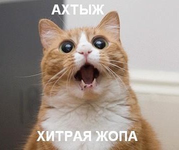 Где Уолли?