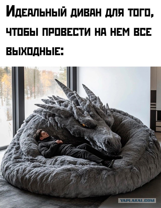 Весёлый полтишок 06.12.24