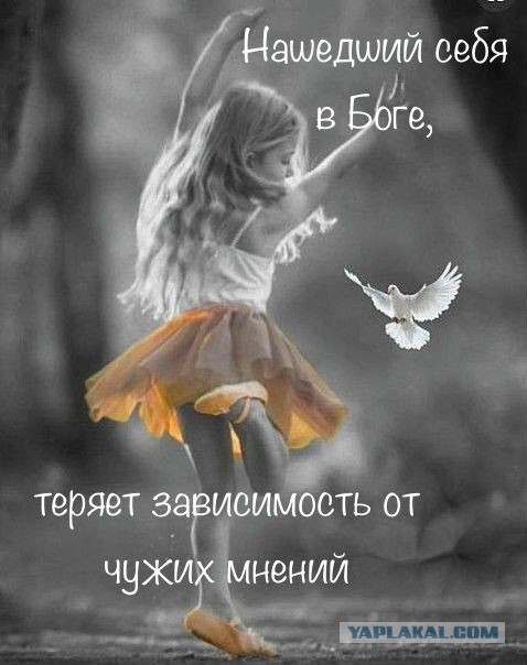 Прикольные и просто красивые картинки 27.12.2024