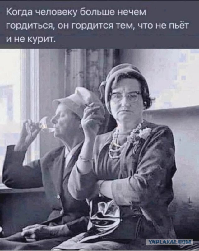 Веселые картинки в пятницу (07.02)