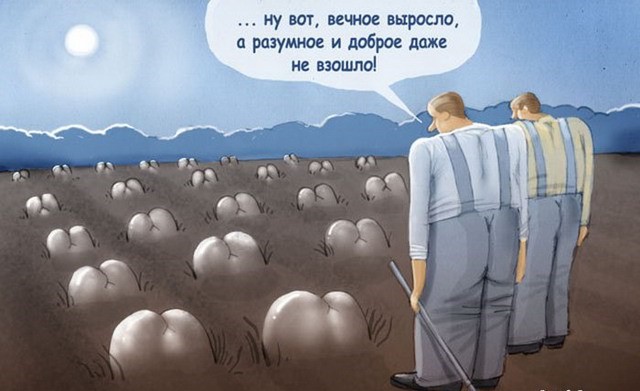 80 баянов из вацапов