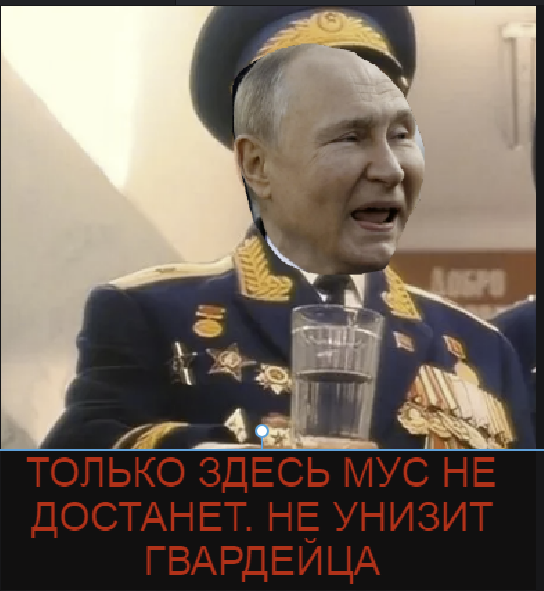 Мы не хотим, чтобы с Путиным что-либо произошло