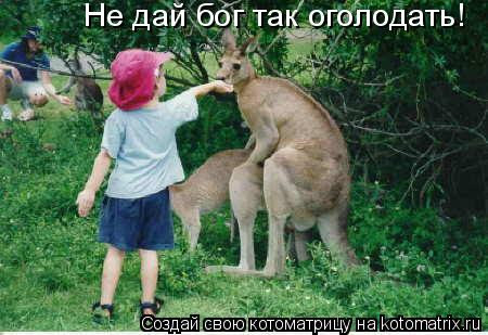 Врач ушёл посреди операции, чтобы... заняться сексом с медсестрой в Великобритании