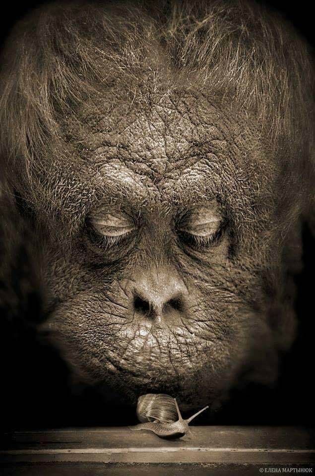 Картинки субботнего утра