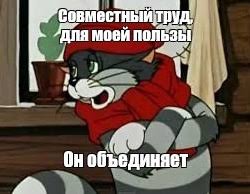 Шерстяной помощник