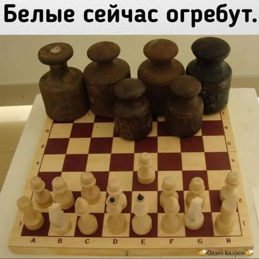 Картинки для деградации 95 (разной степени свежести)