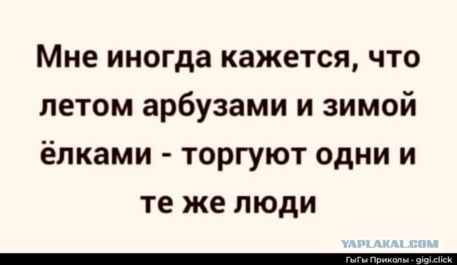Картиночки, баянчики 08 января