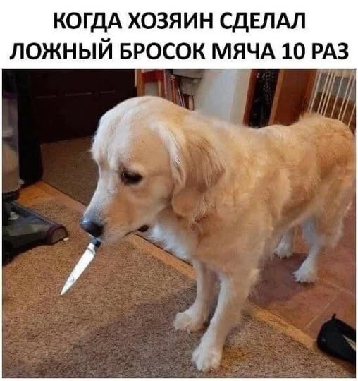Веселое настроение в картинках (14.02.2025)