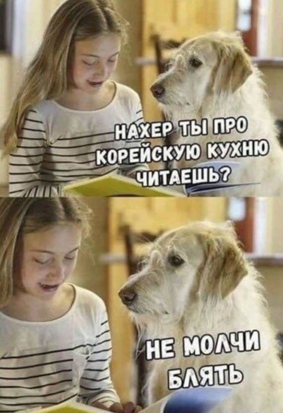 Картинки для деградации 233 (разной степени свежести)