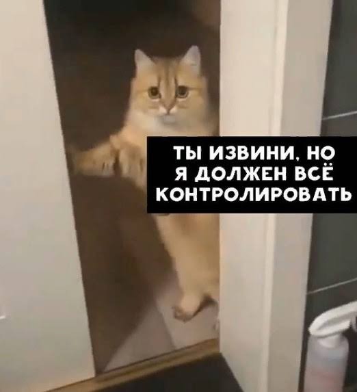 «Назад в будущее» СССР версия