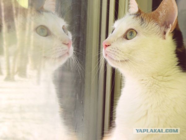 Март ты где ?