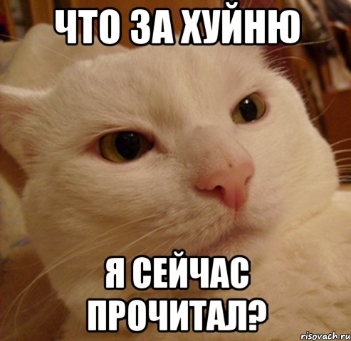 Они выбрали Россию