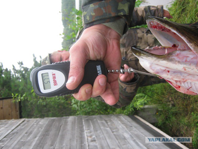 Как я отдыхаю