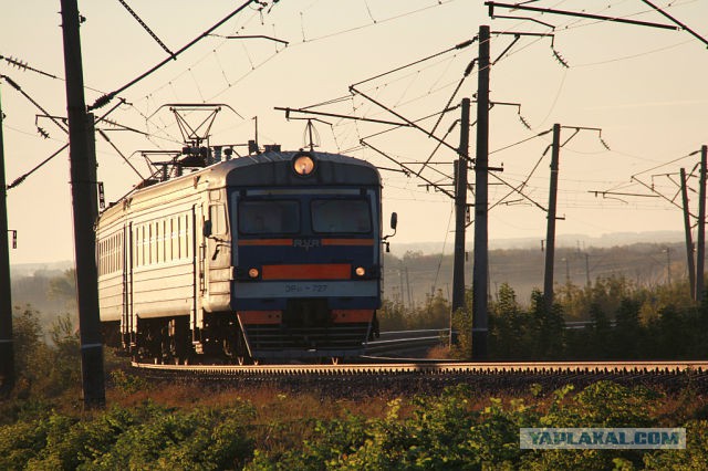 Победители фотоконкурса
