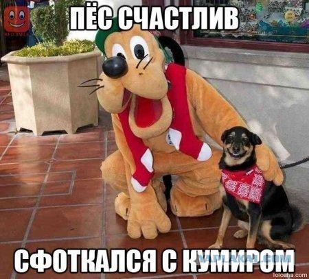 Позитивные картинки