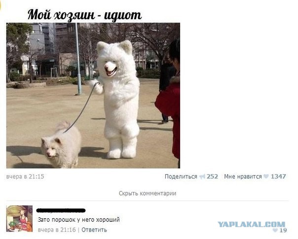 Комментарии из Сети