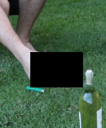 Как открыть бутылку вина без штопора? (GIF)
