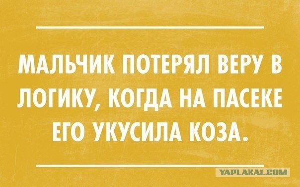 Новые "комментарии из соцсетей"