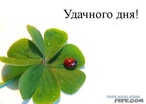 Чёрт, чёрт, чёрт!