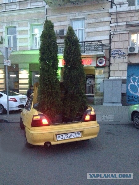 Пару прикольных картинок