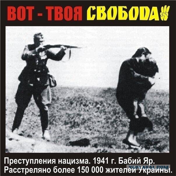 Яценюк приравнял Украину к фашистской Германии