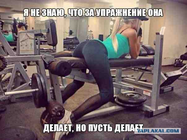 Смешные комментарии из соц сетей