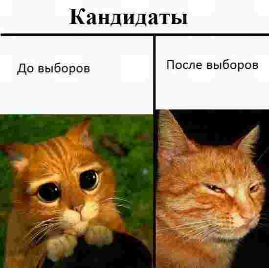 Депутаты и их семьи получат бесплатные лекарства