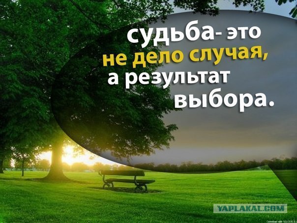 Янукович попал в больницу с инфарктом