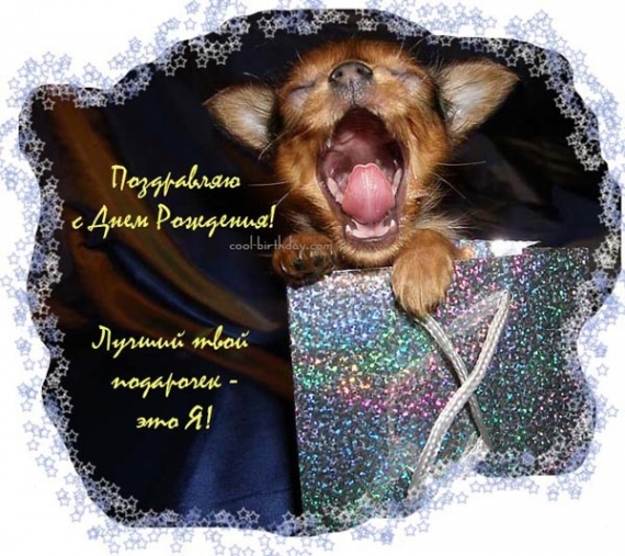 ЯП, С Днём Рождения !