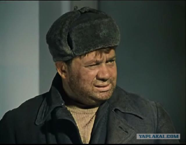 Газу, Серый, газу!