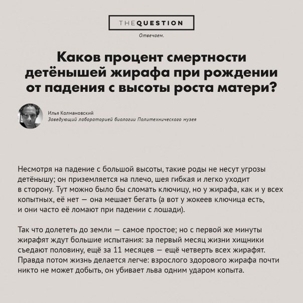 Неожиданные и странные вопросы