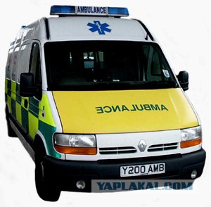 Смоленские глупости