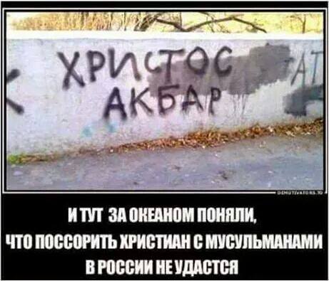 Когда и стены учат Дзену