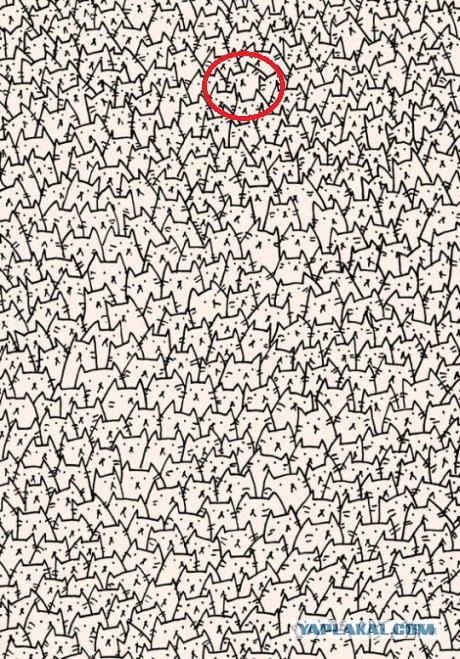 Найдите  собаку