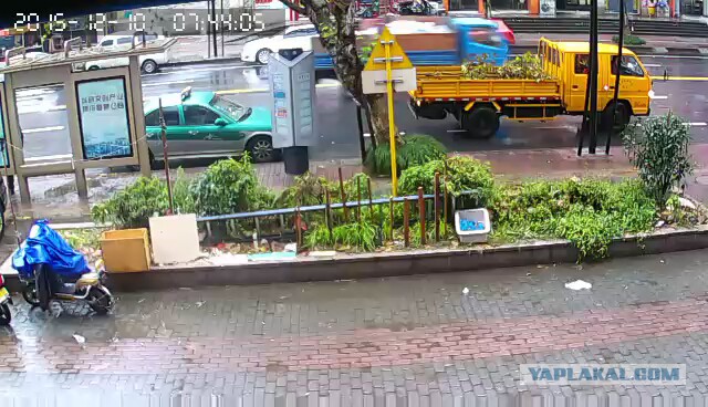 За что я люблю китайцев