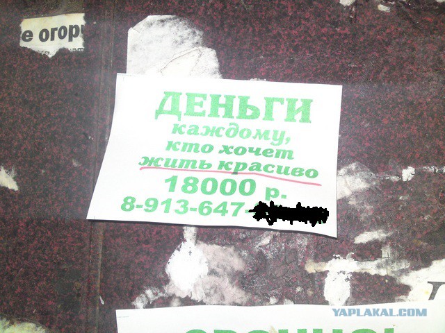 «Чёрные» коллекторы кошмарят соседей должника