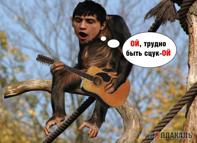 Грустный самец