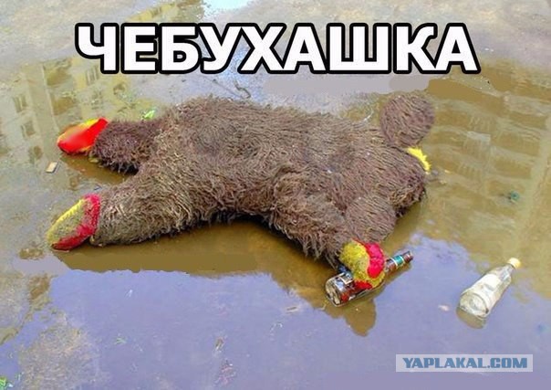 Всех жизнь потрепала