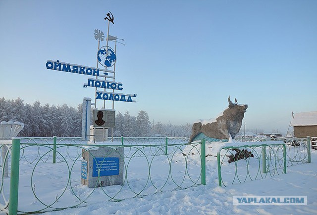 Вязкость моторных масел при низкой температуре