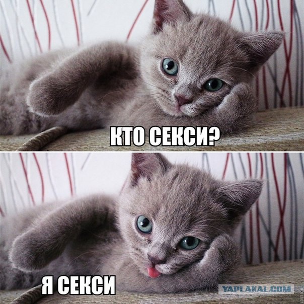 Картинки из сети, подборка на пятницу.