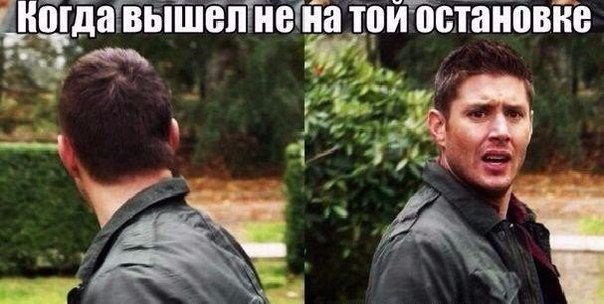 Картинки из сети (07.04.16)