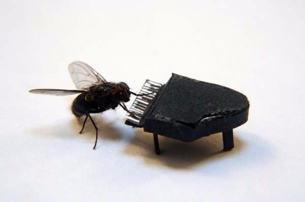 Порция картинок