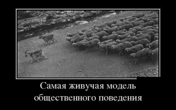 Подборка фот из этих Ваших интернетов