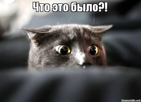ЯП посетители (дополнения 3)
