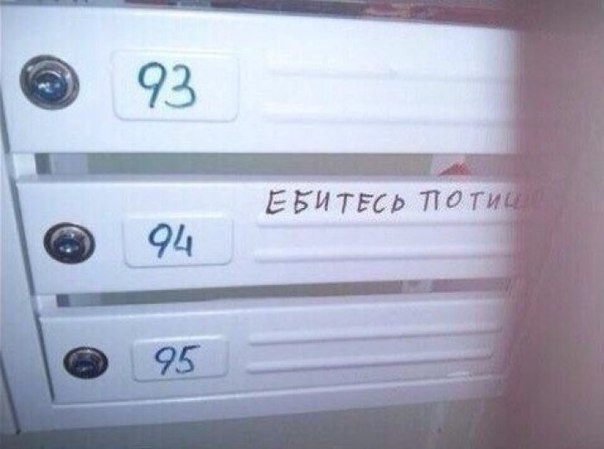 Картинки на сегодня